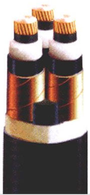 聚氯乙烯(xi)絕緣聚氯(lü)乙烯護套(tao)控制電纜(lan)