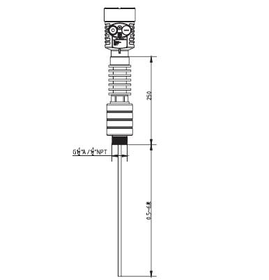 高溫(wen)導波雷達(da)物位計外(wai)型尺寸圖(tu)