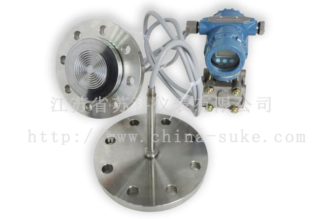 雙(shuang)法蘭(lan)液位(wei)變送(song)器産(chan)品圖(tu)