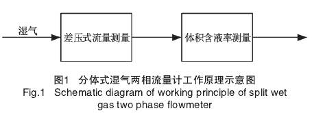 分體式(shi)濕氣兩相(xiang)流量計工(gong)作原理圖(tu)示