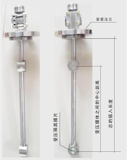 頂裝型差(cha)壓式密度(du)計圖示