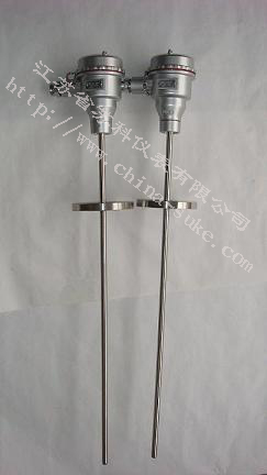 防爆型熱(re)電偶