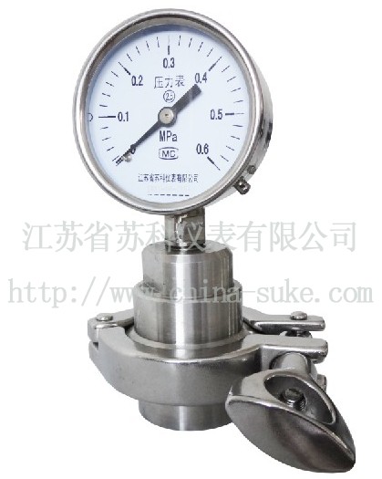 衛(wei)生型隔膜(mo)壓力表