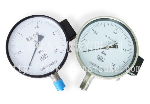 電阻(zu)遠傳(chuan)壓力(li)表産(chan)品圖(tu)